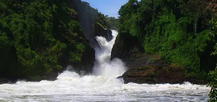 the Murchison falls