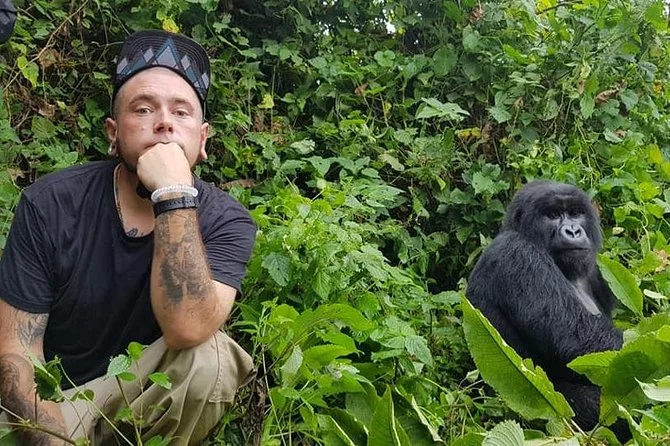 un homme assis à côté d'un gorille lors d'une aventure de trekking avec des gorilles