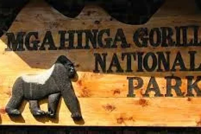 Mgakhinga Gorilla Nationalpark