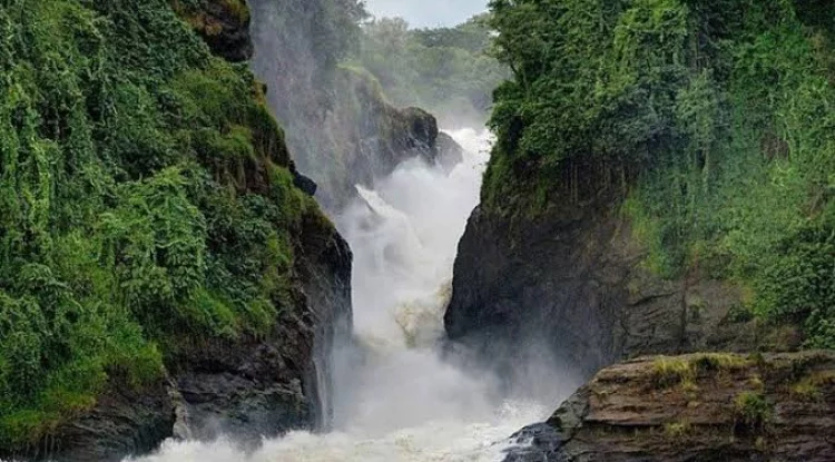 دليل سفر Murchison Falls National Park Uganda