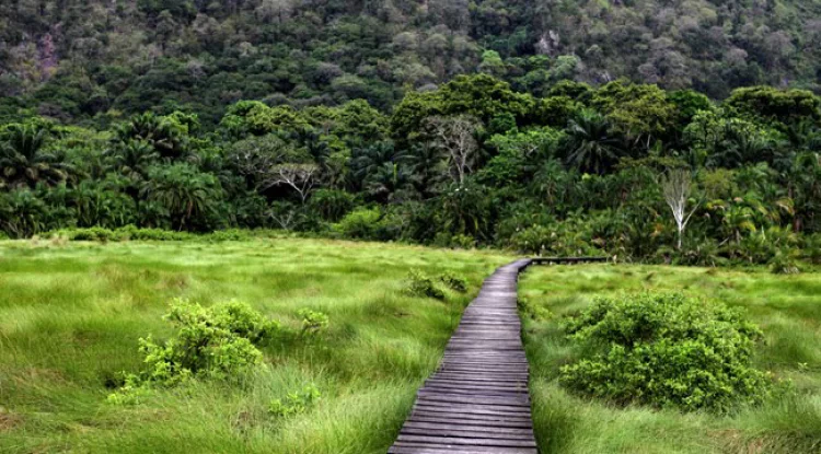 Semuliki Nationalpark