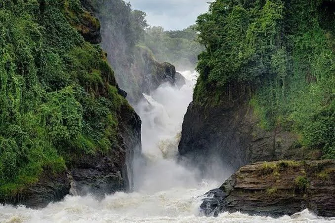 Мерчисон -Фолс национальный парк Уганда путеводителя