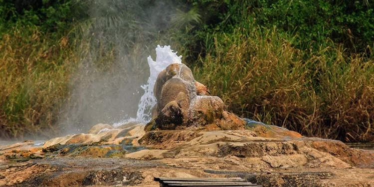 SEMULIKI NATIONAL PARK - Here in Uganda