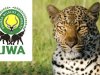 Autoridad de Vida Silvestre de Uganda New Conservation Tarifas: 2022-2024