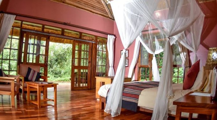 Kibale Primate Lodge: Ein detaillierter Leitfaden zu einem der besten Afrikas.