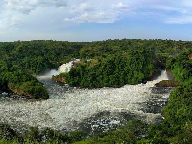 Viaje en barco a Murchison Falls Uganda: 7 cosas que debes ver antes de morir.