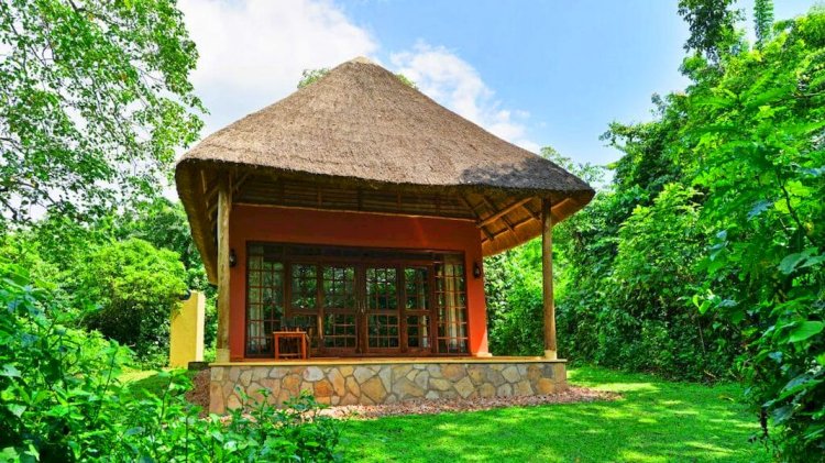 luxury cottage in Kibaale forest