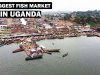 Der ugandische Kampala-Fischmarkt: Ein Blick auf die Augenlanderung von GGABA.