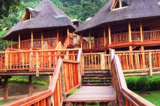 Todo para saber sobre Trackers Safari Lodge: un lujoso retiro de safari africano.