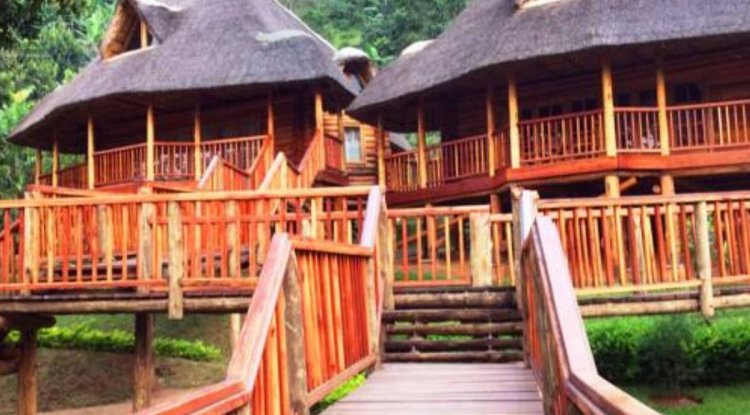 Tutto da sapere su Trackers Safari Lodge: un lussuoso ritiro africano Safari.