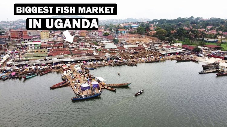 Il mercato dei pesci ugandesi Kampala: uno sguardo che apriva gli occhi nel sito di atterraggio di Ggaba.