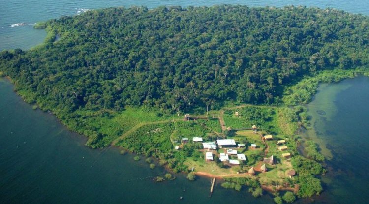 Ngamba Island (Chimp Sanctuary)