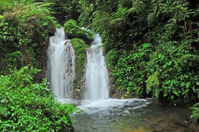 A walk to Muyanga waterfall in Bwindi
