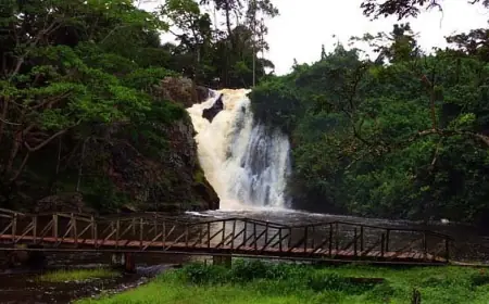 Sezibwa Falls: A Symphony of Nature in Uganda’s Wilderness