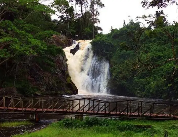 Sezibwa Falls：乌干达荒野中自然的交响曲