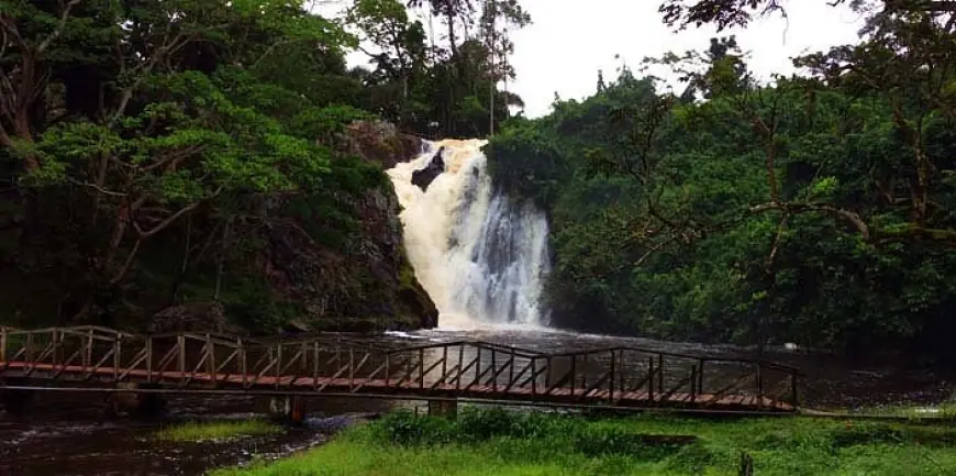 Sezibwa Falls：乌干达荒野中自然的交响曲