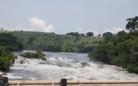 Karuma Falls