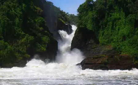 Murchison Falls: The Most Powerful Waterfall in the World