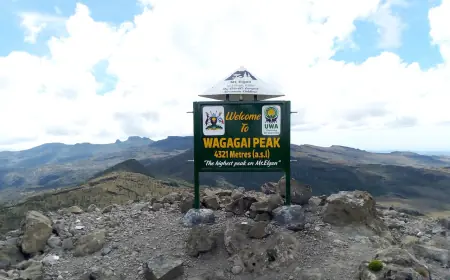 Mount Elgon National Park