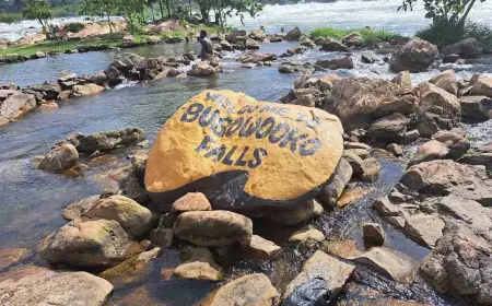 Busowoko falls