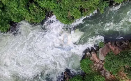 Kalagala Falls: A Plunge into Uganda's Natural Wonder