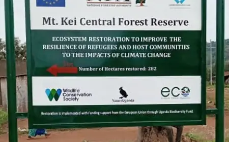 Mount Kei Central Forest Reserve