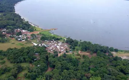 Lutoboka Central Forest Reserve