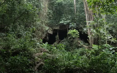 Maramagambo Central Forest Reserve