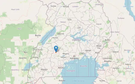 Kasenyi Central Forest Reserve