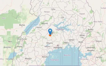 Kapimpini Central Forest Reserve