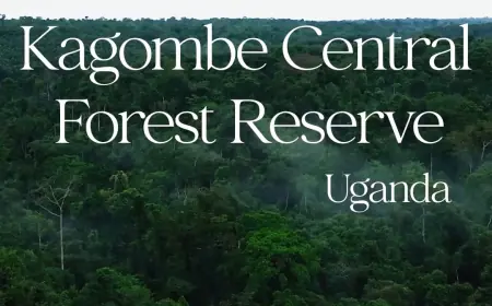 Kangombe Central Forest Reserve