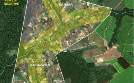 Wambabya Central Forest Reserve