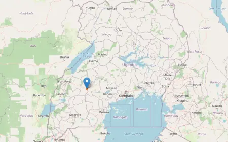 Rwensambya Central Forest Reserve