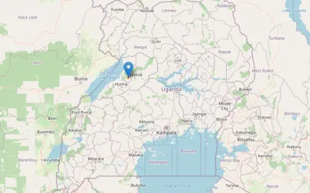 Nyabyeya Central Forest Reserve