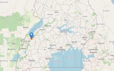 Muhangi Central Forest Reserve