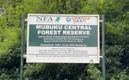 Mubuku Central Forest Reserve