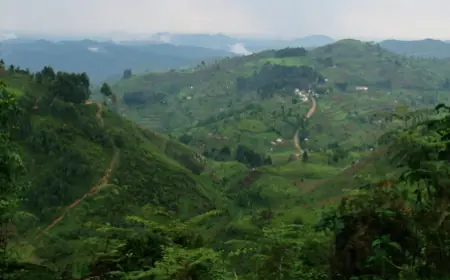 Mafuga Central Forest Reserve