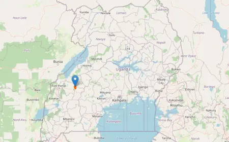 Kitechura Central Forest Reserve