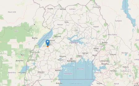 Kasato Central Forest Reserve