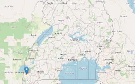 Ihimbo Central Forest Reserve