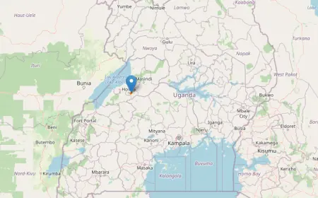 Ibamba Central Forest Reserve