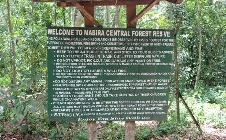 Mabira Central Forest Reserve