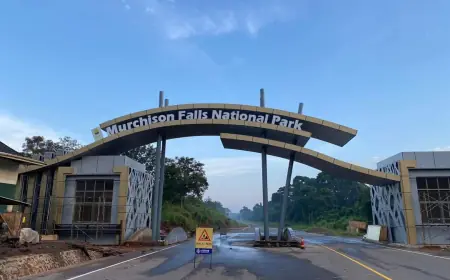Murchison Falls National Park Uganda Travel Guide