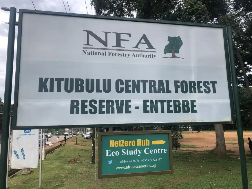 Kitubulu Central Forest Reserve