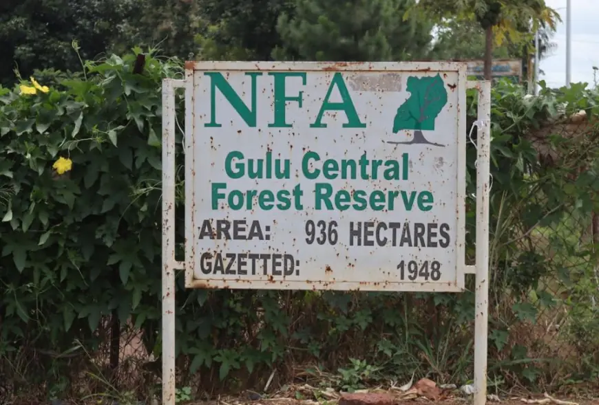 Gulu Central Forest Reserve