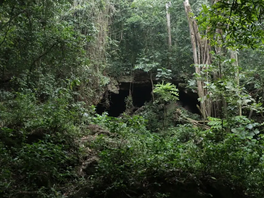 Maramagambo Central Forest Reserve