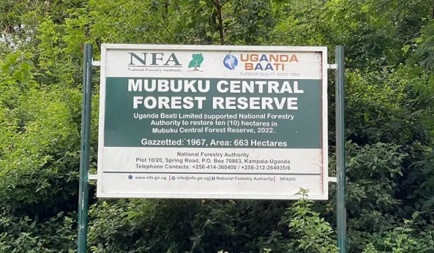 Mubuku Central Forest Reserve