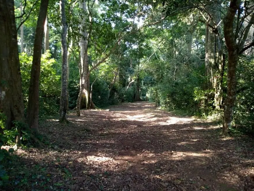 Mpanga Central Forest Reserve
