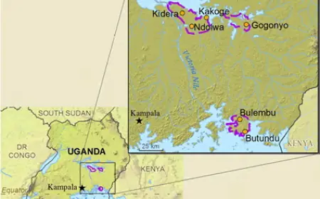 Bakenyi: A Bantu Tribe