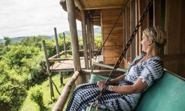 Uganda Safari Cost: Realistic Budget Breakdown for First-Timers